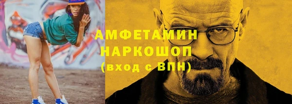 хмурый Аркадак