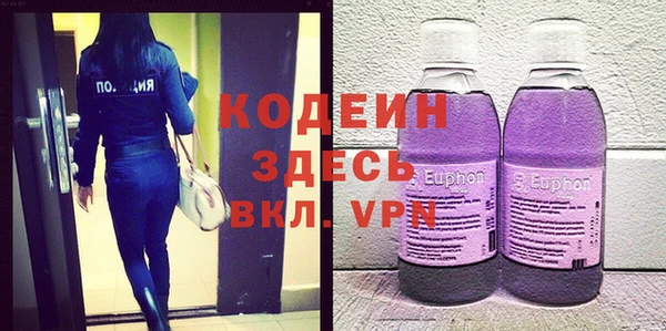 хмурый Аркадак