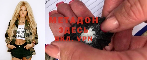 хмурый Аркадак