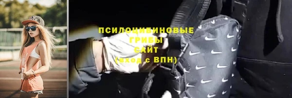 хмурый Аркадак