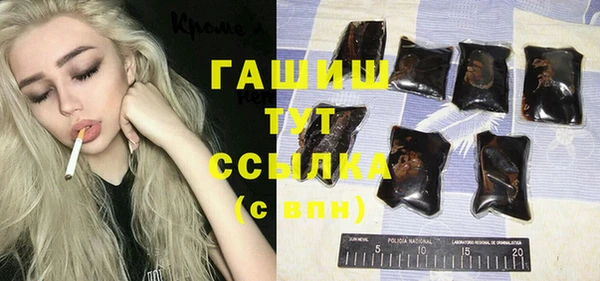 хмурый Аркадак