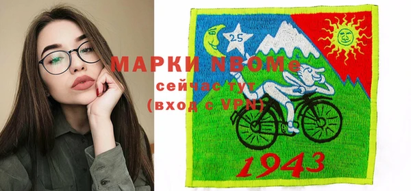 индика Туринск