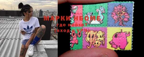 хмурый Аркадак
