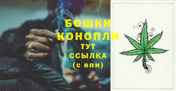 хмурый Аркадак