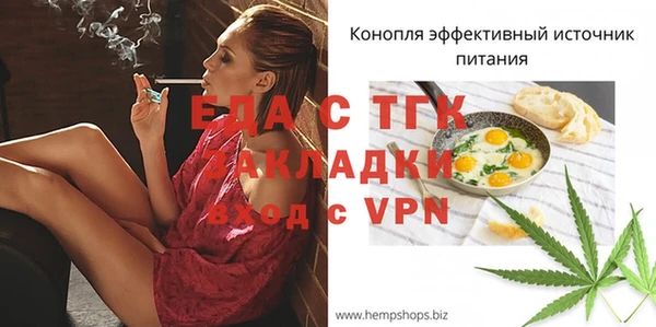 хмурый Аркадак