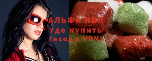 хмурый Аркадак