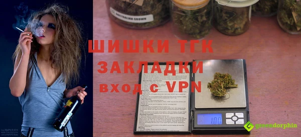 хмурый Аркадак