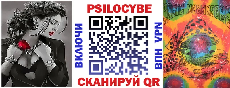 Псилоцибиновые грибы мухоморы  купить наркотики сайты  Курган 